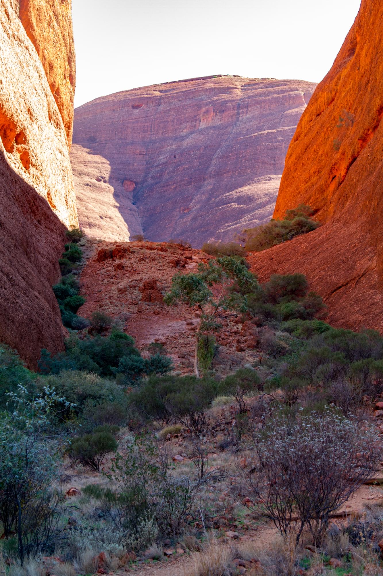 20_20150807   AUS 217   Ayers Rock